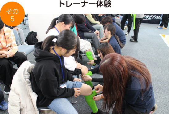 なぜこの道を選んだの？リアルボイス大公開!